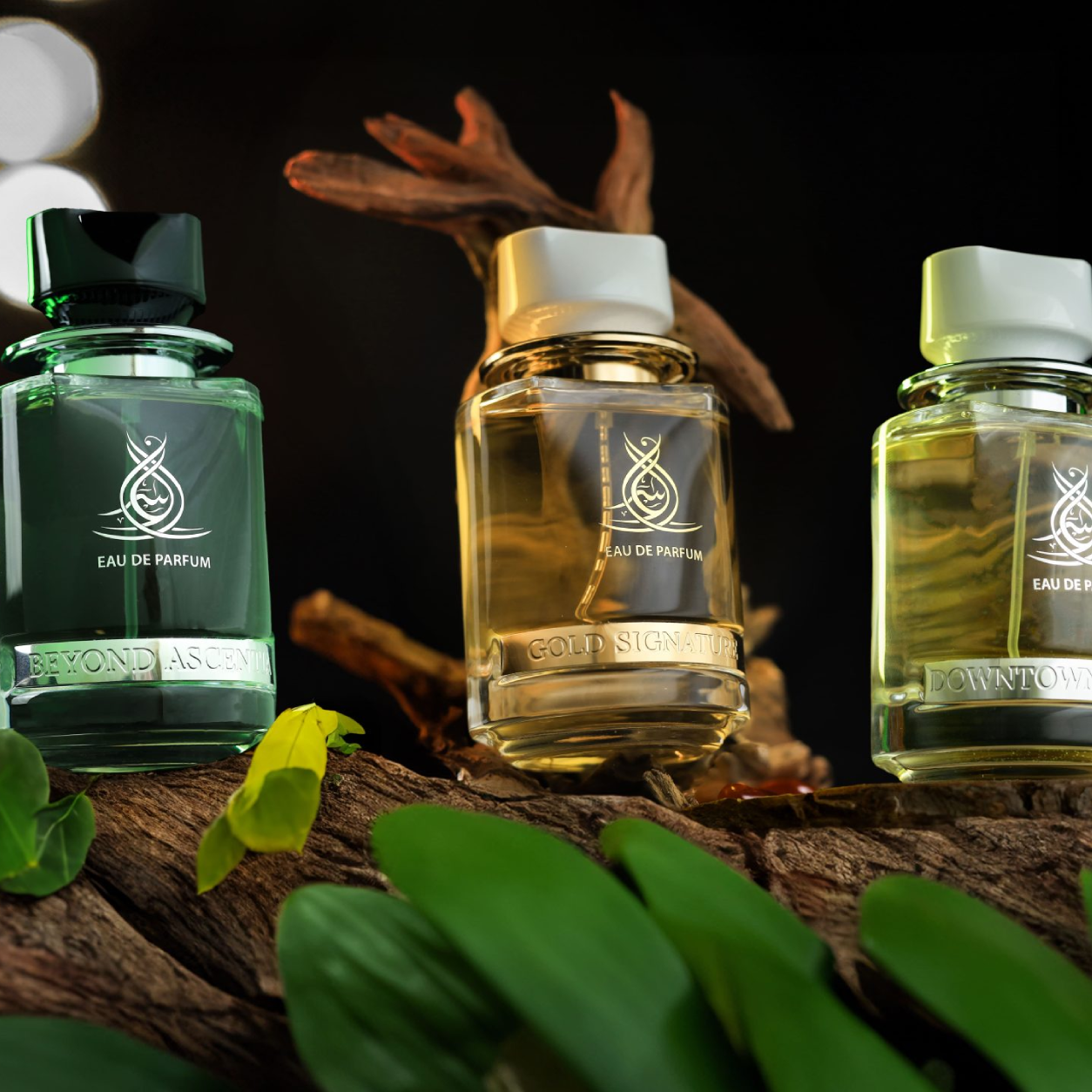Where Arabian Heritage Meets Modern Elegance